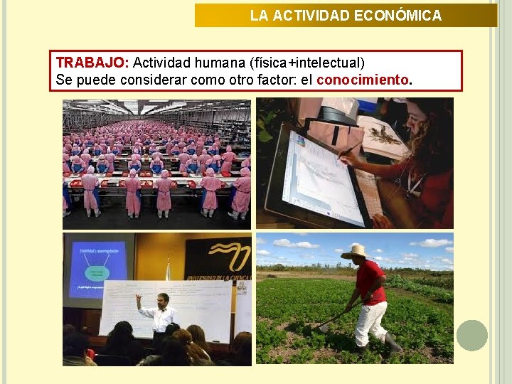 LA ACTIVIDAD ECONÓMICA TRABAJO: TRABAJO Actividad humana (física+intelectual) Se puede considerar como otro factor: