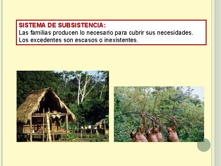 SISTEMA DE SUBSISTENCIA: SUBSISTENCIA Las familias producen lo necesario para cubrir sus necesidades. Los