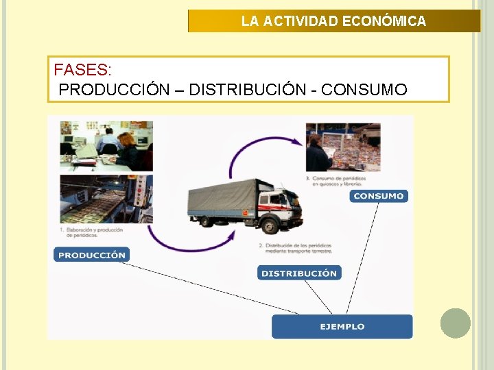 LA ACTIVIDAD ECONÓMICA FASES: PRODUCCIÓN – DISTRIBUCIÓN - CONSUMO 