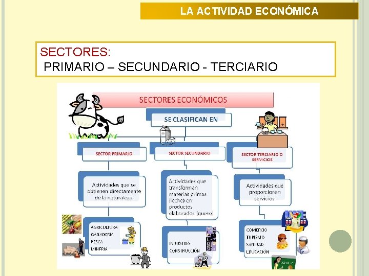 LA ACTIVIDAD ECONÓMICA SECTORES: PRIMARIO – SECUNDARIO - TERCIARIO 