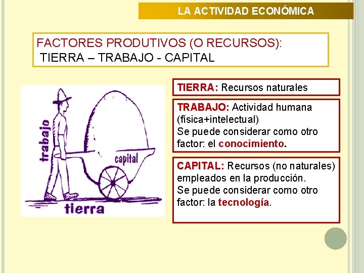 LA ACTIVIDAD ECONÓMICA FACTORES PRODUTIVOS (O RECURSOS): TIERRA – TRABAJO - CAPITAL TIERRA: Recursos