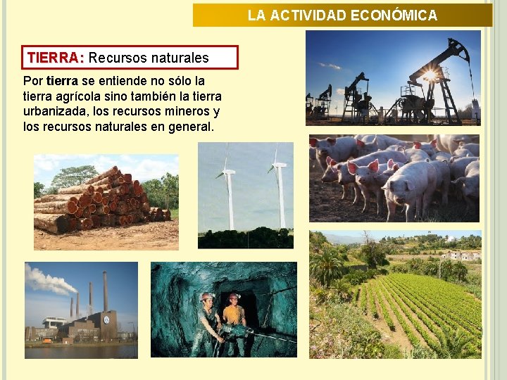 LA ACTIVIDAD ECONÓMICA TIERRA: Recursos naturales Por tierra se entiende no sólo la tierra