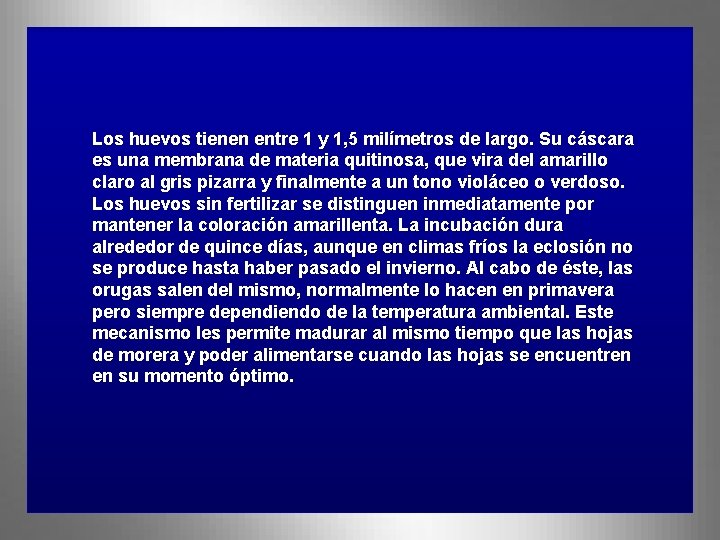 Los huevos tienen entre 1 y 1, 5 milímetros de largo. Su cáscara es