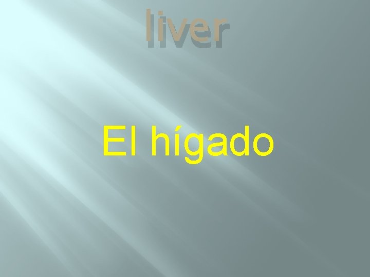 liver El hígado 