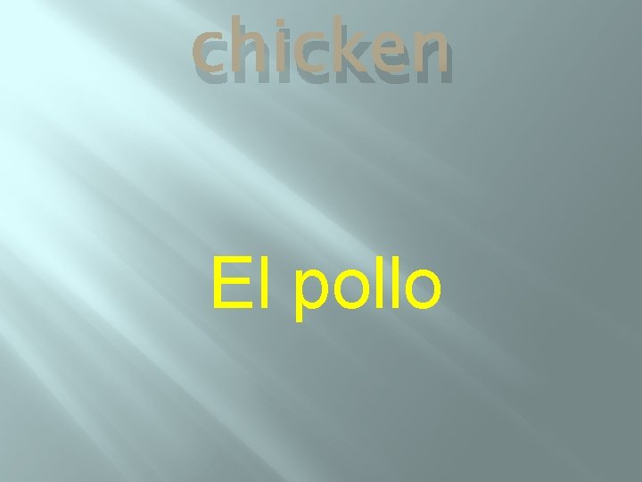 chicken El pollo 