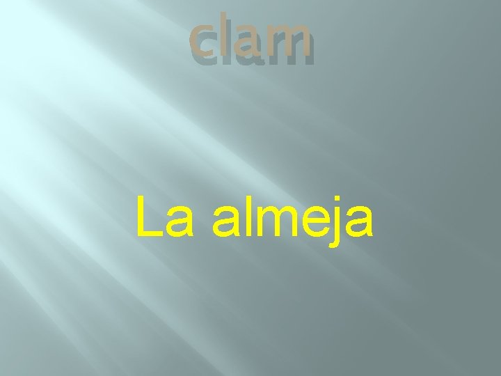 clam La almeja 