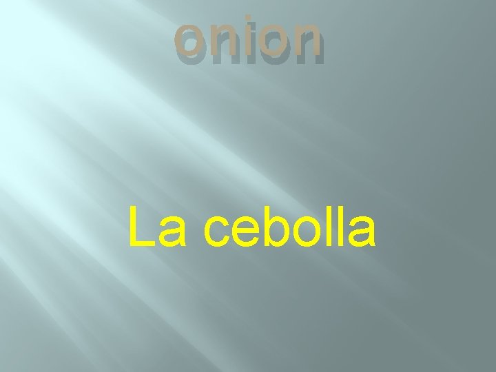 onion La cebolla 
