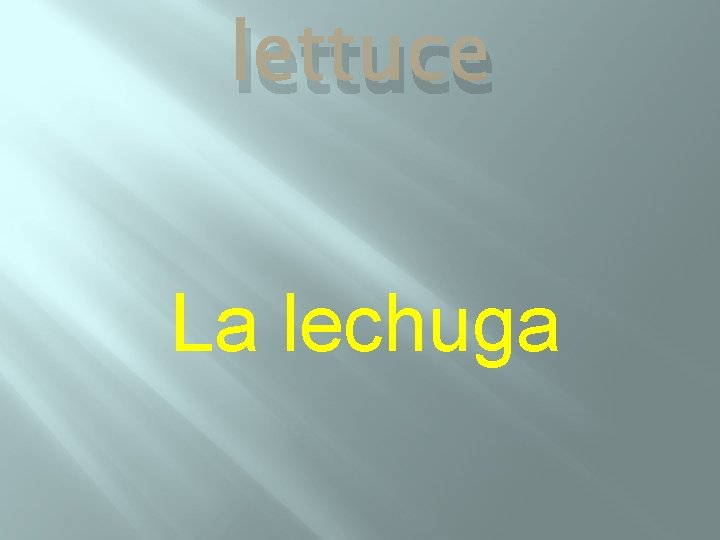 lettuce La lechuga 