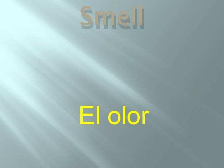 Smell El olor 