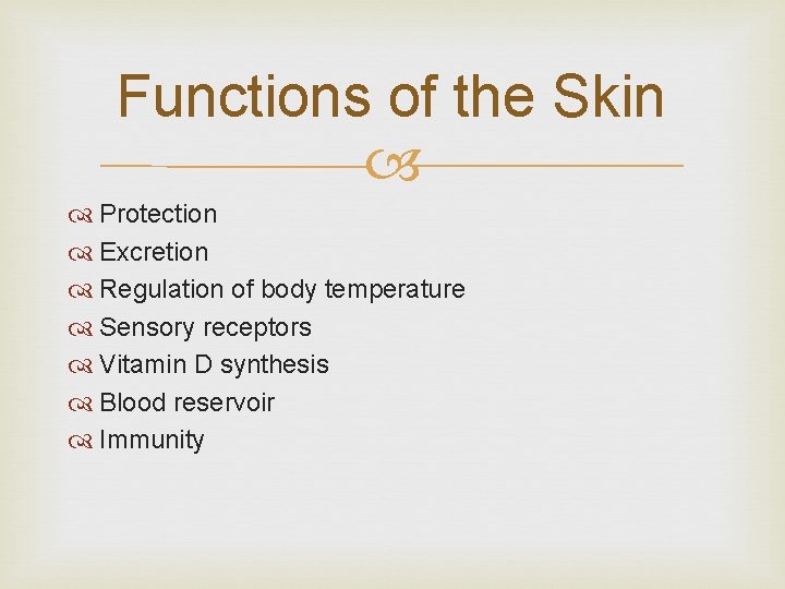 Functions of the Skin Protection Excretion Regulation of body temperature Sensory receptors Vitamin D