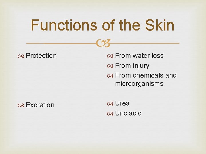 Functions of the Skin Protection From water loss From injury From chemicals and microorganisms