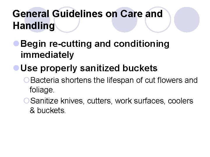 General Guidelines on Care and Handling l Begin re-cutting and conditioning immediately l Use