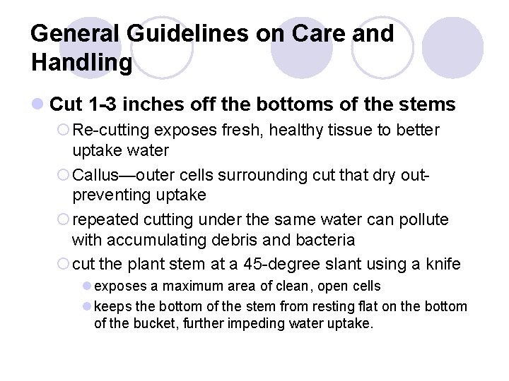 General Guidelines on Care and Handling l Cut 1 -3 inches off the bottoms