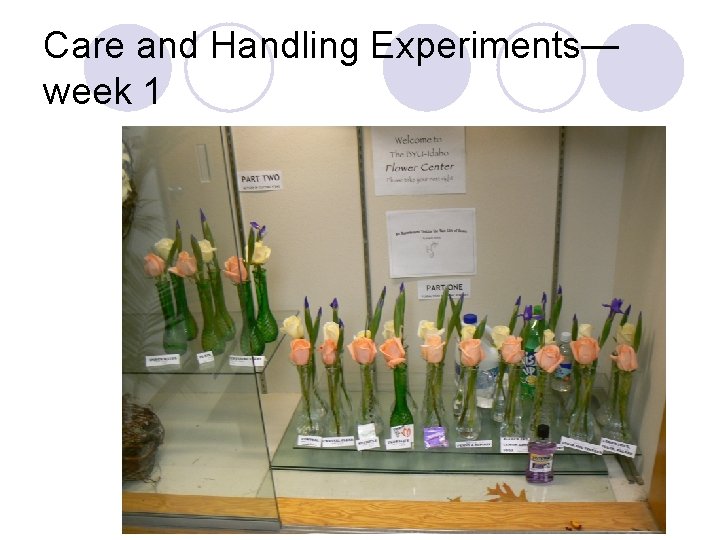 Care and Handling Experiments— week 1 