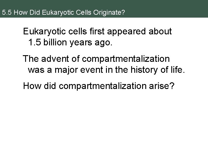 5. 5 How Did Eukaryotic Cells Originate? Eukaryotic cells first appeared about 1. 5