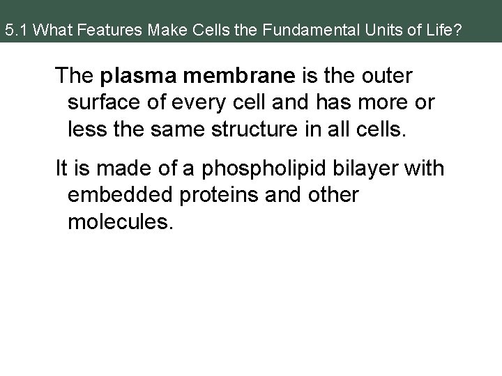 5. 1 What Features Make Cells the Fundamental Units of Life? The plasma membrane