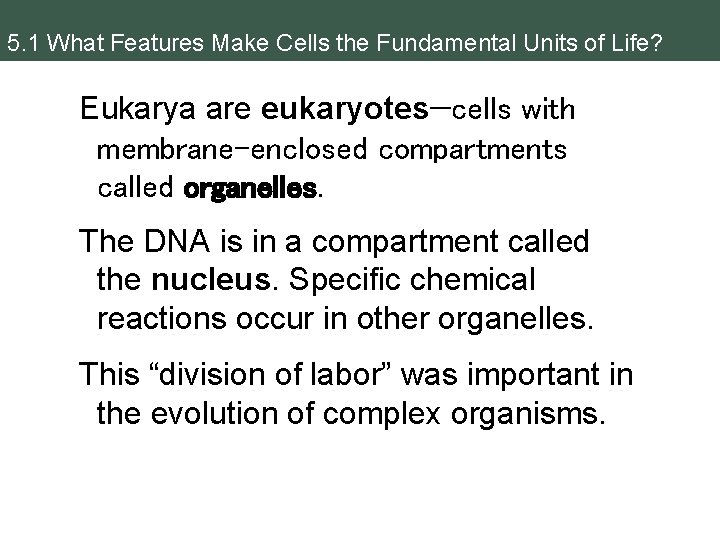 5. 1 What Features Make Cells the Fundamental Units of Life? Eukarya are eukaryotes—cells