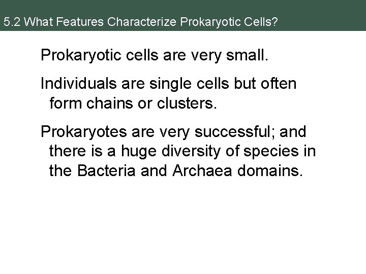 5. 2 What Features Characterize Prokaryotic Cells? Prokaryotic cells are very small. Individuals are