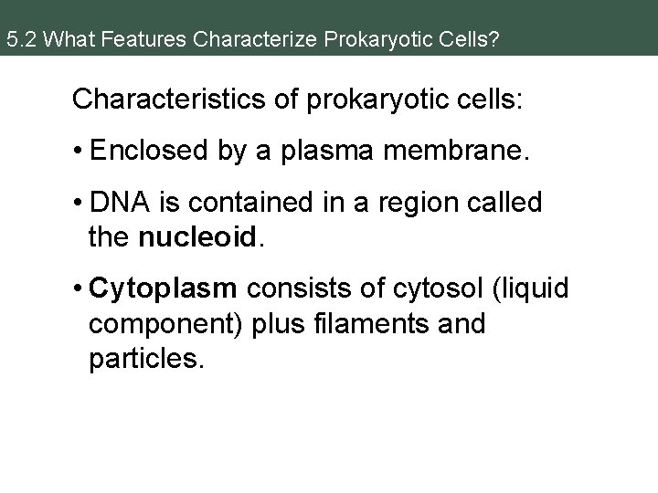 5. 2 What Features Characterize Prokaryotic Cells? Characteristics of prokaryotic cells: • Enclosed by