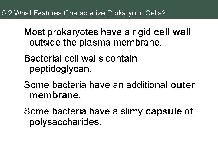 5. 2 What Features Characterize Prokaryotic Cells? Most prokaryotes have a rigid cell wall