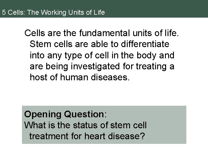 5 Cells: The Working Units of Life Cells are the fundamental units of life.