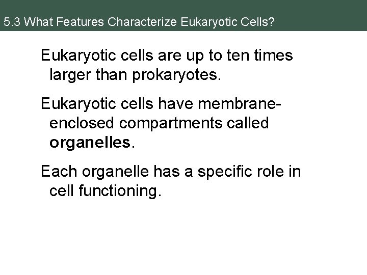 5. 3 What Features Characterize Eukaryotic Cells? Eukaryotic cells are up to ten times