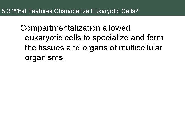 5. 3 What Features Characterize Eukaryotic Cells? Compartmentalization allowed eukaryotic cells to specialize and