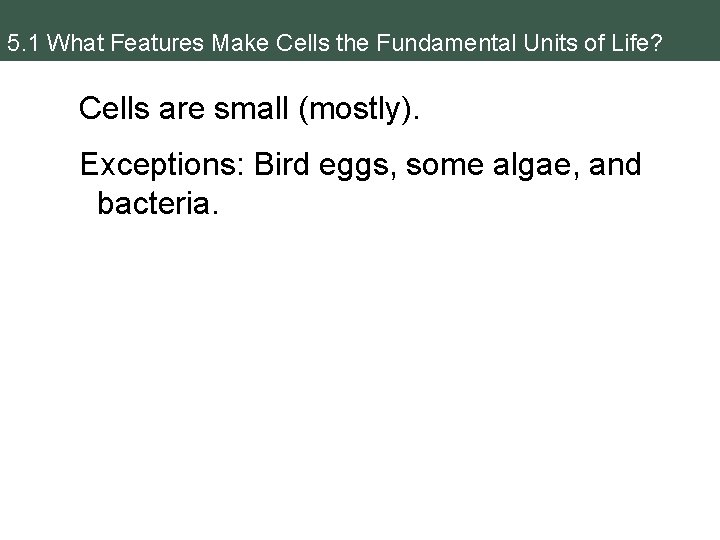 5. 1 What Features Make Cells the Fundamental Units of Life? Cells are small