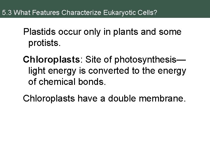 5. 3 What Features Characterize Eukaryotic Cells? Plastids occur only in plants and some