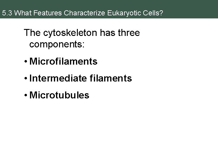 5. 3 What Features Characterize Eukaryotic Cells? The cytoskeleton has three components: • Microfilaments