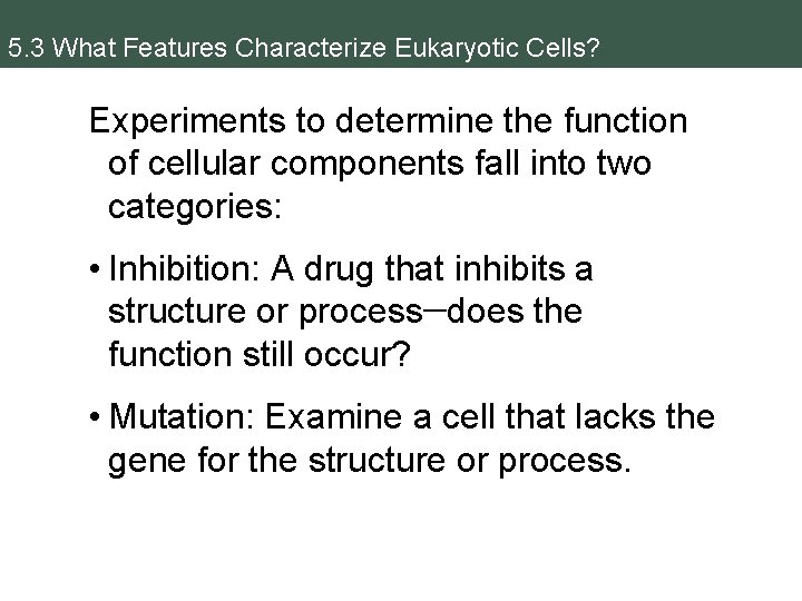 5. 3 What Features Characterize Eukaryotic Cells? Experiments to determine the function of cellular