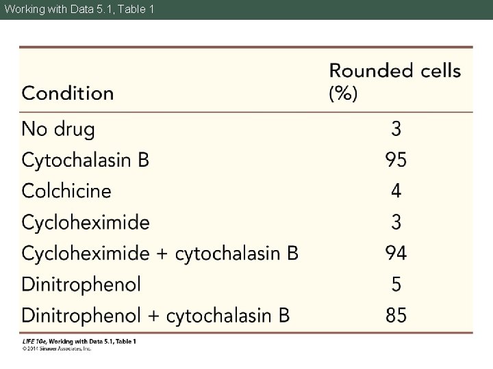 Working with Data 5. 1, Table 1 