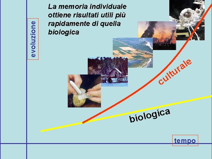 evoluzione La memoria individuale ottiene risultati utili più rapidamente di quella biologica r u
