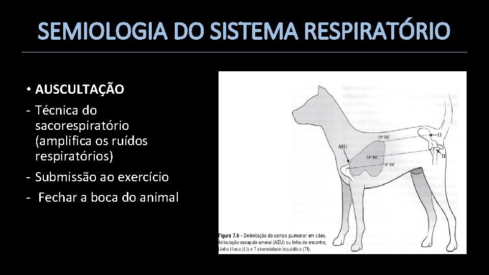 SEMIOLOGIA DO SISTEMA RESPIRATÓRIO • AUSCULTAÇÃO - Técnica do sacorespiratório (amplifica os ruídos respiratórios)