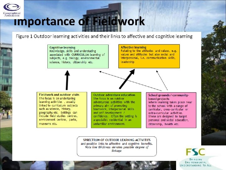 Importance of Fieldwork 