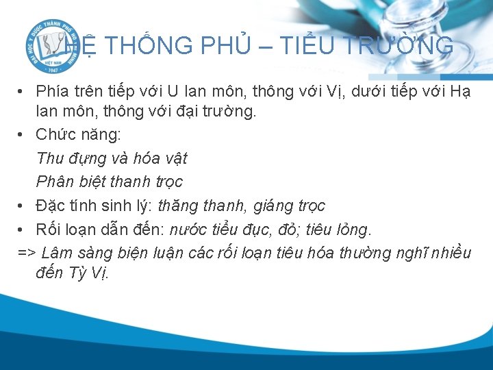 HỆ THỐNG PHỦ – TIỂU TRƯỜNG • Phía trên tiếp với U lan môn,