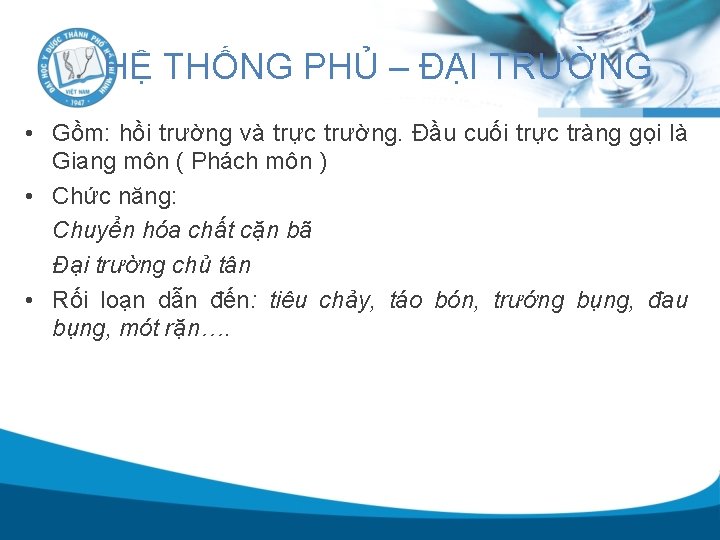 HỆ THỐNG PHỦ – ĐẠI TRƯỜNG • Gồm: hồi trường và trực trường. Đầu