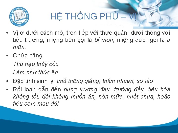 HỆ THỐNG PHỦ – VỊ • Vị ở dưới cách mô, trên tiếp với