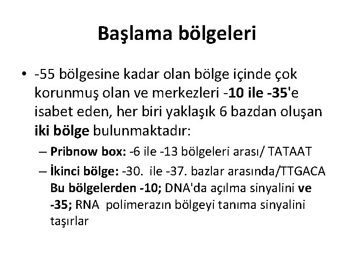 Başlama bölgeleri • -55 bölgesine kadar olan bölge içinde çok korunmuş olan ve merkezleri