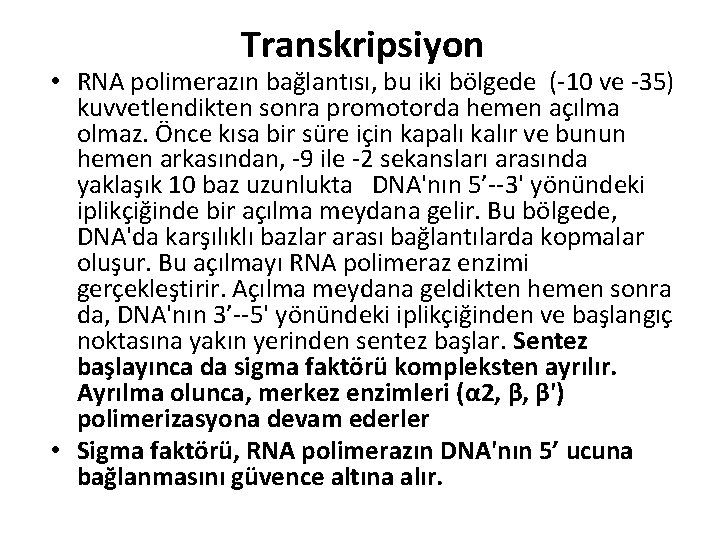 Transkripsiyon • RNA polimerazın bağlantısı, bu iki bölgede (-10 ve -35) kuvvetlendikten sonra promotorda