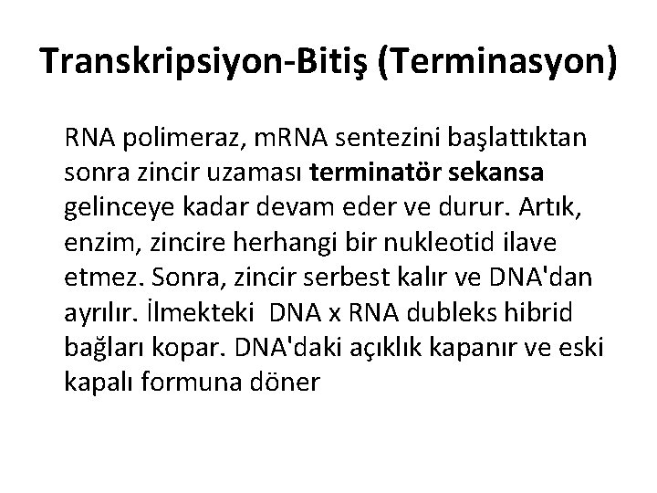 Transkripsiyon-Bitiş (Terminasyon) RNA polimeraz, m. RNA sentezini başlattıktan sonra zincir uzaması terminatör sekansa gelinceye