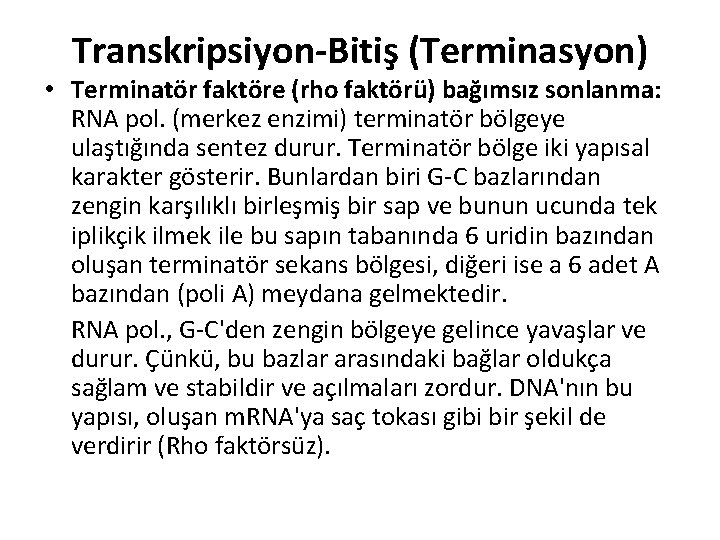 Transkripsiyon-Bitiş (Terminasyon) • Terminatör faktöre (rho faktörü) bağımsız sonlanma: RNA pol. (merkez enzimi) terminatör