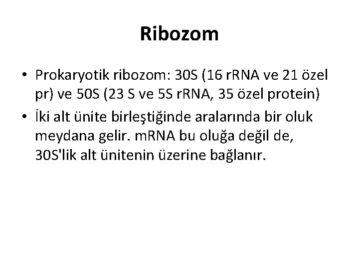 Ribozom • Prokaryotik ribozom: 30 S (16 r. RNA ve 21 özel pr) ve