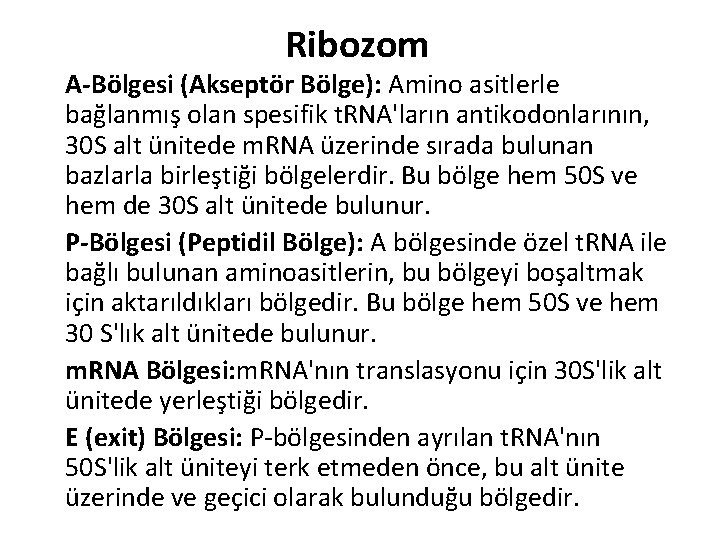 Ribozom A-Bölgesi (Akseptör Bölge): Amino asitlerle bağlanmış olan spesifik t. RNA'ların antikodonlarının, 30 S