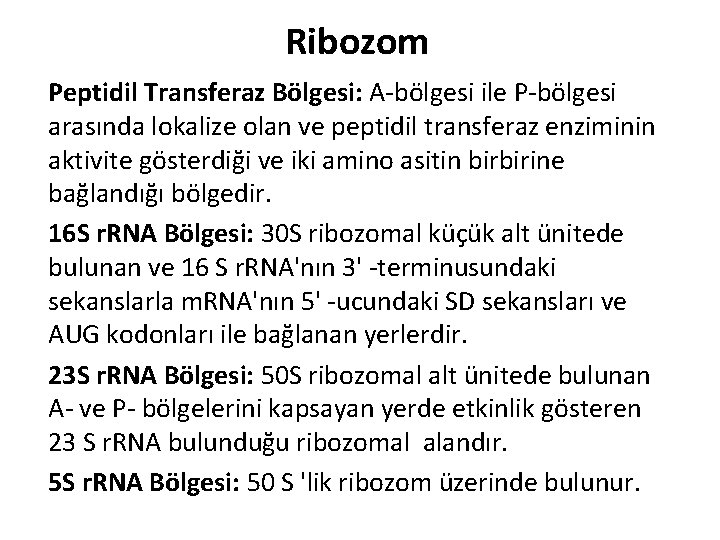 Ribozom Peptidil Transferaz Bölgesi: A-bölgesi ile P-bölgesi arasında lokalize olan ve peptidil transferaz enziminin