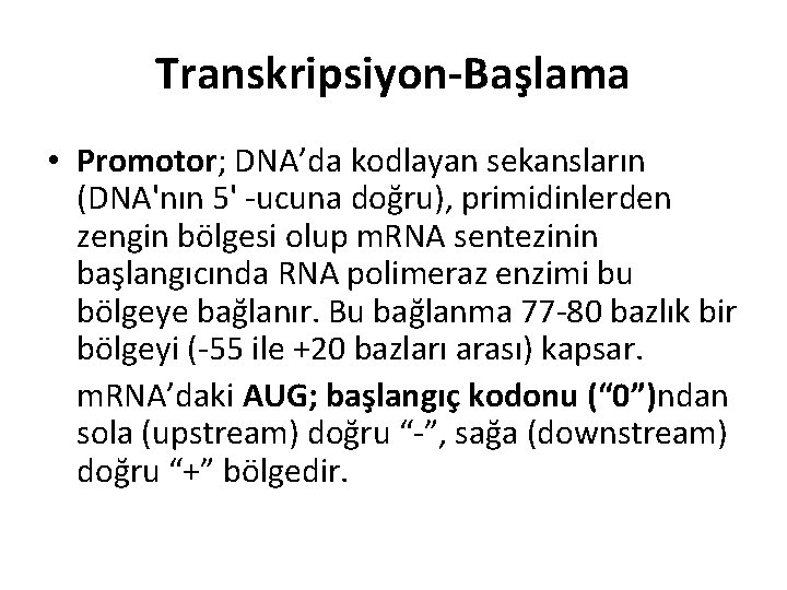 Transkripsiyon-Başlama • Promotor; DNA’da kodlayan sekansların (DNA'nın 5' -ucuna doğru), primidinlerden zengin bölgesi olup