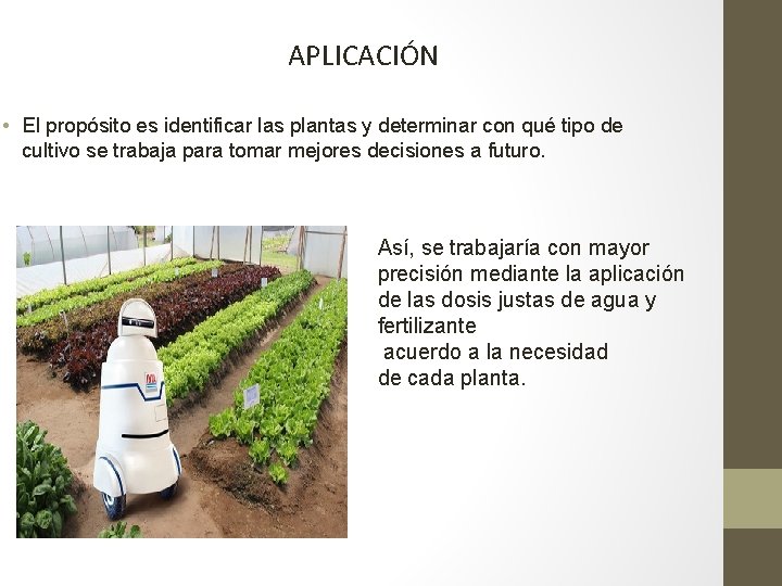 APLICACIÓN • El propósito es identificar las plantas y determinar con qué tipo de