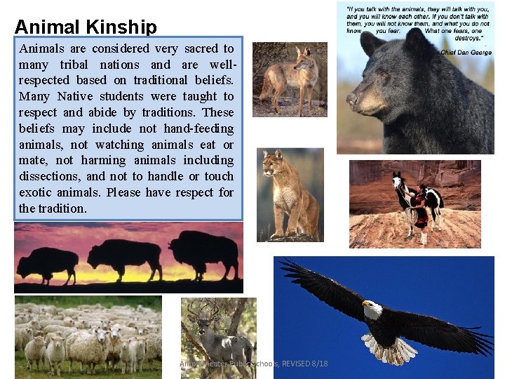Animal Kinship Animals are considered very sacred to many tribal nations and are wellrespected