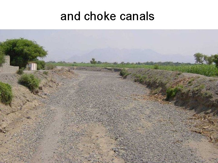 and choke canals 