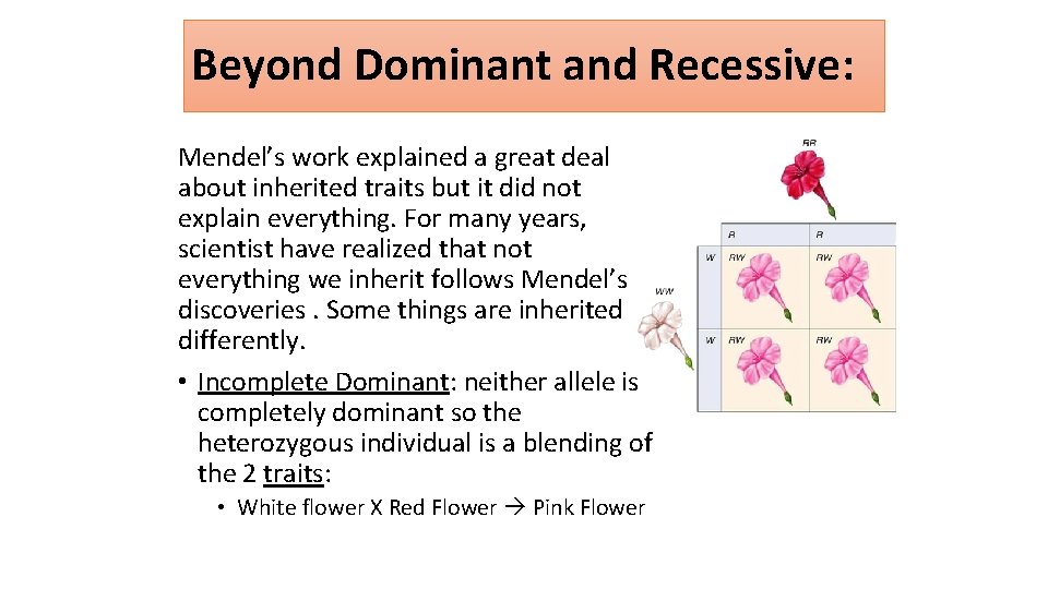 Part 5 Intro to Genetics Mendel and his
